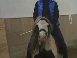 img_3978_web
